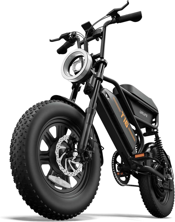 URLIFE 16" x 3.0 Electric Bike, 48V 13Ah Removable Battery, 250W Brushless Motor, 120km Range, Ebike with Dual Suspension, Lockable Storage Box for Teenagers and Adults (Black)