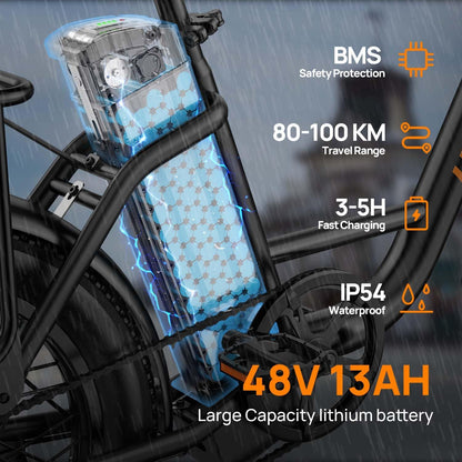 URLIFE Electric Bike for Adults, 20" x 3.0 Fat Tire Electric Bicycle with Colorful Display, 250W Motor Ebike, 48V 13Ah Removable Battery, 100 KM Max, All-Terrain E-Bike for Adults and Teens
