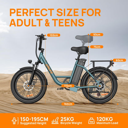 URLIFE Electric Bike for Adults, 20" x 3.0 Fat Tire Electric Bicycle with Colorful Display, 250W Motor Ebike, 48V 13Ah Removable Battery, 100 KM Max, All-Terrain E-Bike for Adults and Teens